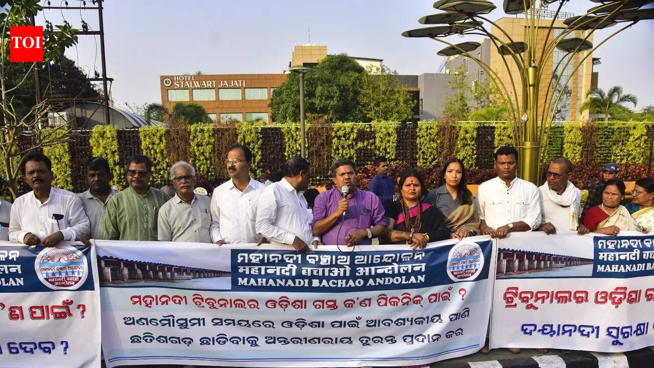 Mahanadi Tribunal Begins On-Site Assessment in Odisha