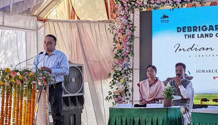 Debrigarh Hosts 2nd Indian Bison Fest Featuring Night Camping and Gaur Safari