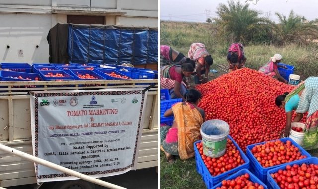 ORMAS Collaborates with Bharat Masala for Direct Market Access