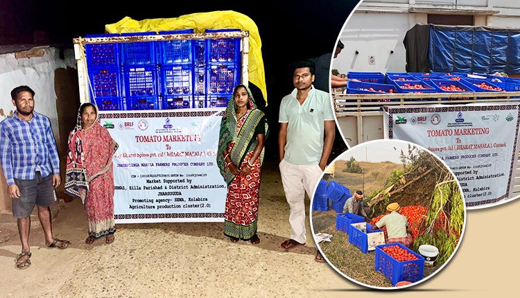 ORMAS Acquires 128.30 Tonnes of Tomatoes from Five Districts in Odisha