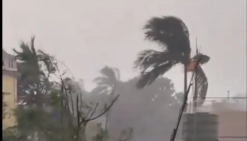 Orange Alert Issued for Thunderstorms, Hail, and 60 km/h Winds in North Odisha Districts