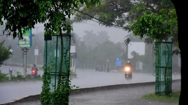 Odisha to Experience Rain for Five More Days, IMD Forecasts