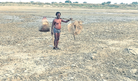 Farmers and Fisherfolk Alarmed as Mahanadi River Dries Up