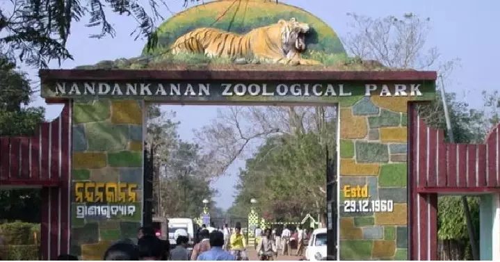 Nandankanan Zoo Implements Extensive Measures to Combat Intense Heat
