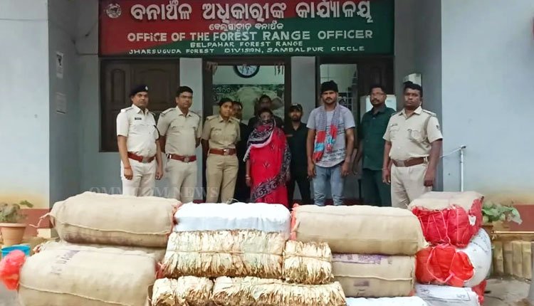 Kendu Leaves Valued at ₹1.5 Lakh Seized in Jharsuguda; Two Arrested