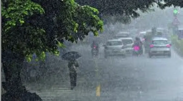 Rainfall Intensity to Rise in Odisha Starting July 1; IMD Issues Alerts