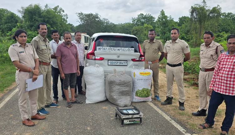Jharsuguda Police Intercept 119 Kg of Ganja in Major Smuggling Bust