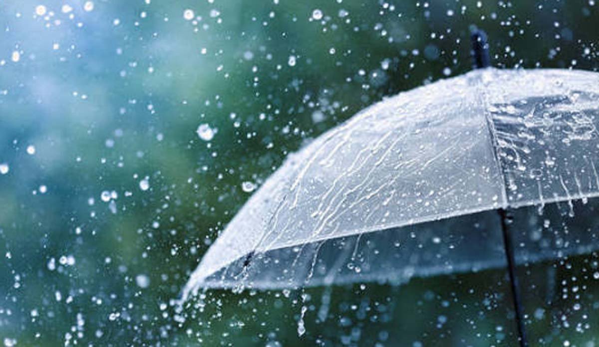 Odisha Faces Severe Rainfall as IMD Issues Red Alert for Multiple Districts